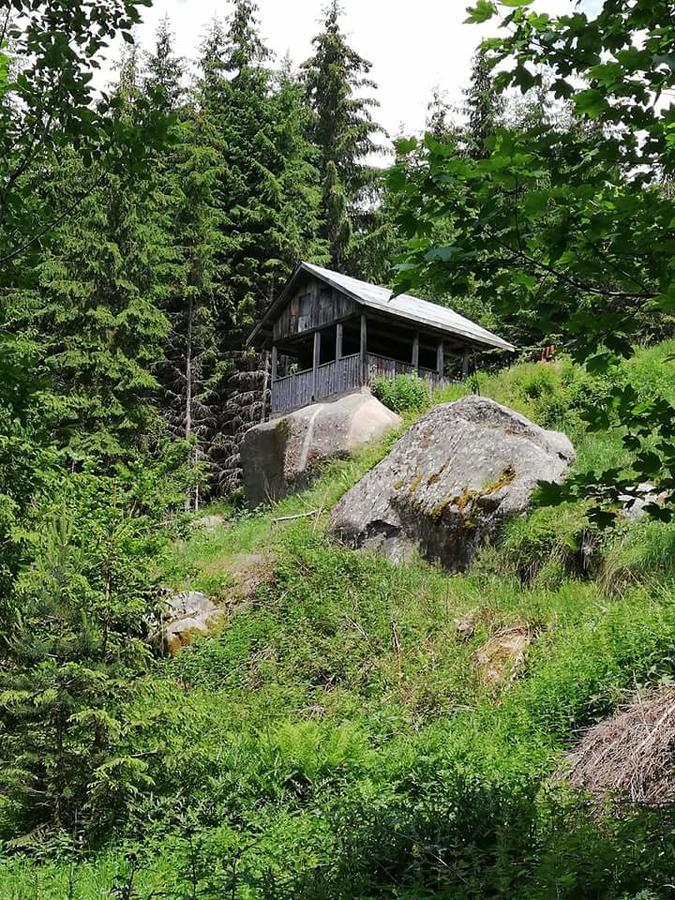 Complex Pele Hotell Zmeitsa Eksteriør bilde